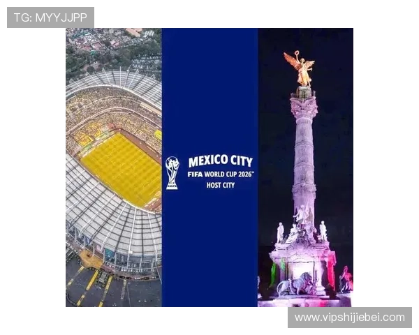 2026年世界杯将在何处举行，全球主要举办城市和场馆一览