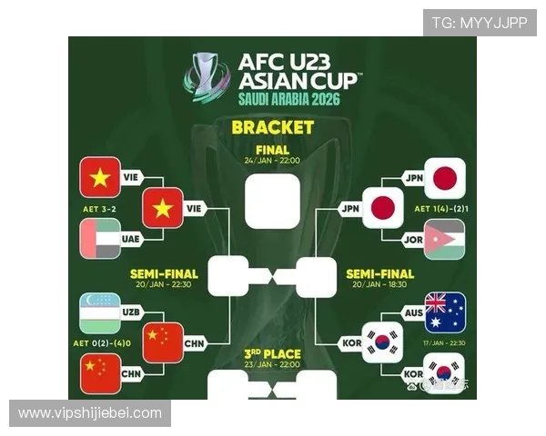 最新世界杯晋级球队名单全景图，深入分析各队晋级背后的关键因素与未来展望